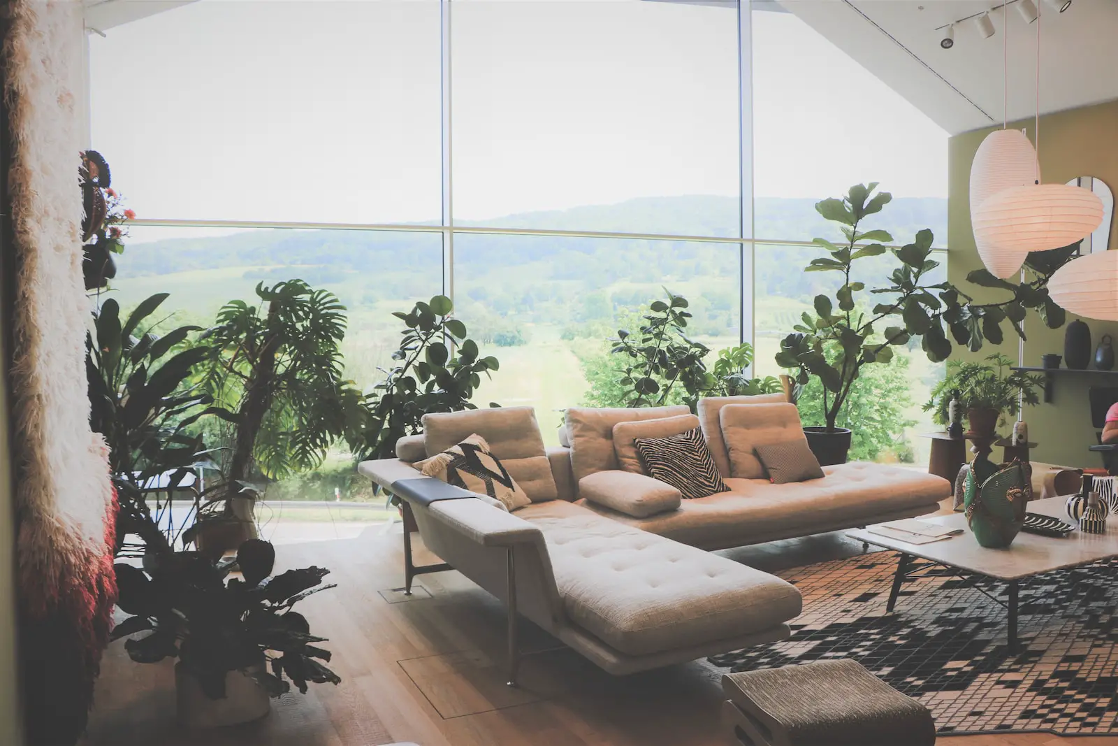 What Are the Best Plants for Indoor Air Quality and Safe Living?